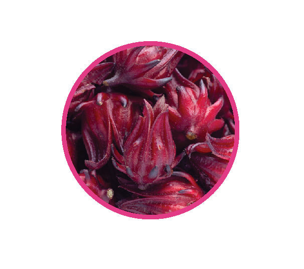 ROSELLA POWDER 20g